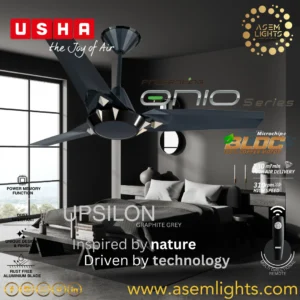 designer ceiling fan in nepal