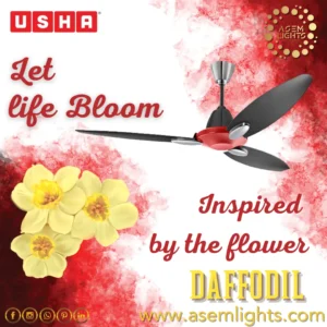 Decorative Ceiling Fan In Nepal