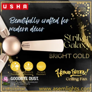 Usha Decorative Ceiling Fan in Nepal
