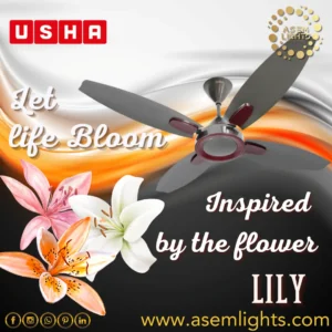 4 blade ceiling fan in nepal