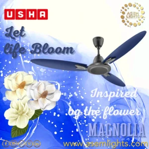 decorative fan in nepal