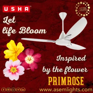 decorative ceiling fan in nepal