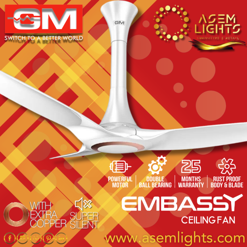 gm designer ceiling fan in nepal