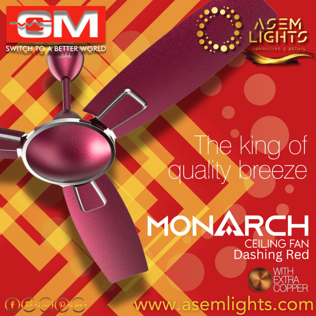 decorative ceiling fan in nepal