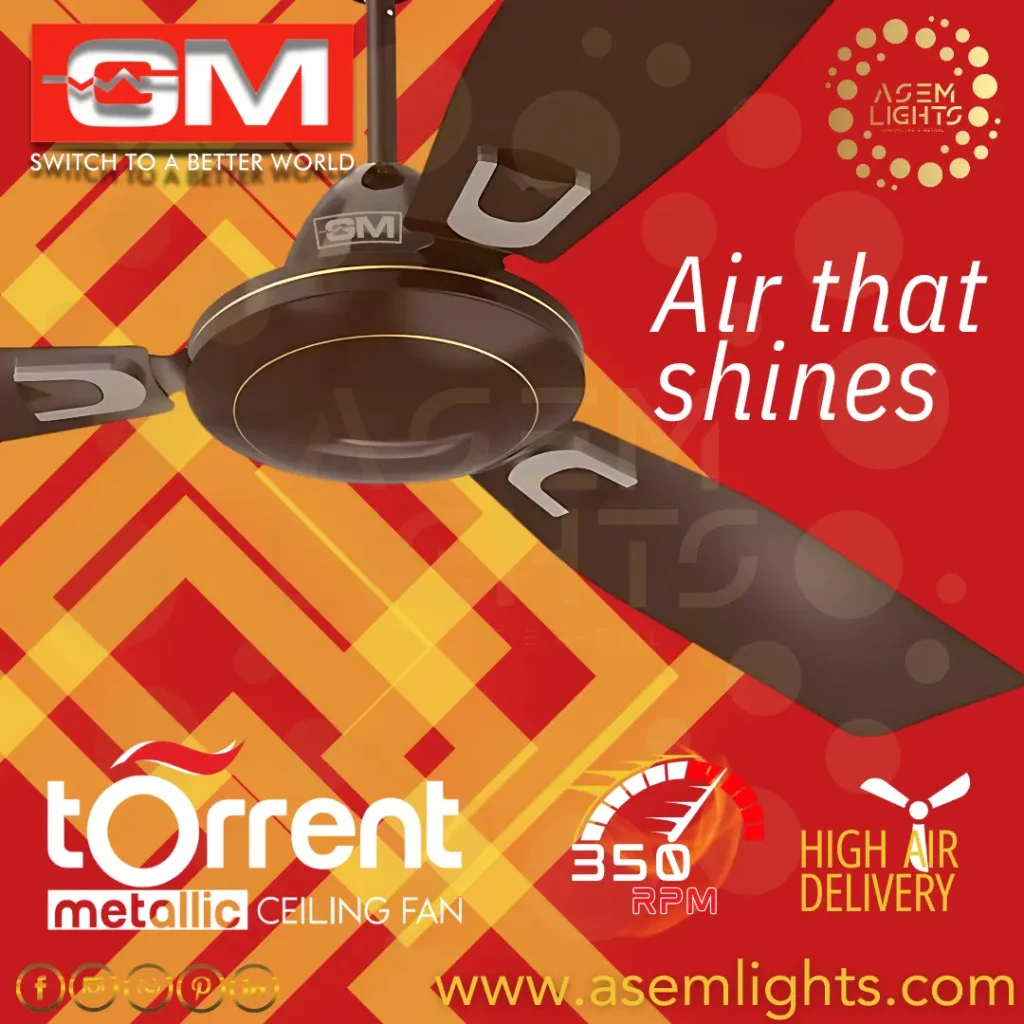 decorative fan in nepal