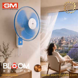 noiseless fan in nepal
