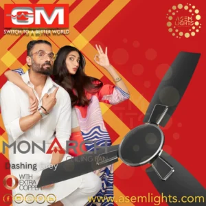 ceiling fan in nepal