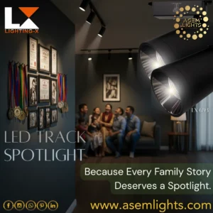 led spotlight in nepal