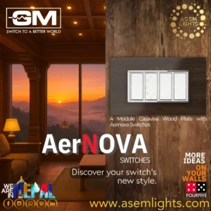 Modular switches in nepal