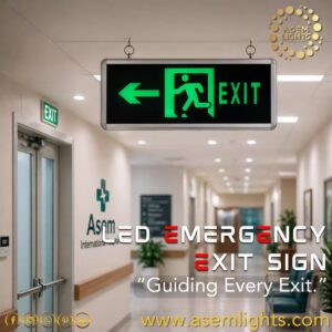exit sign light in nepal