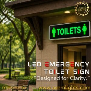 toilet sign light in nepal