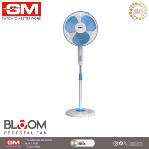 STAND FAN IN NEPAL