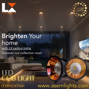 lx 465 cob spot light in nepal