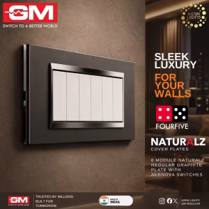 premium modular switch plate in nepal