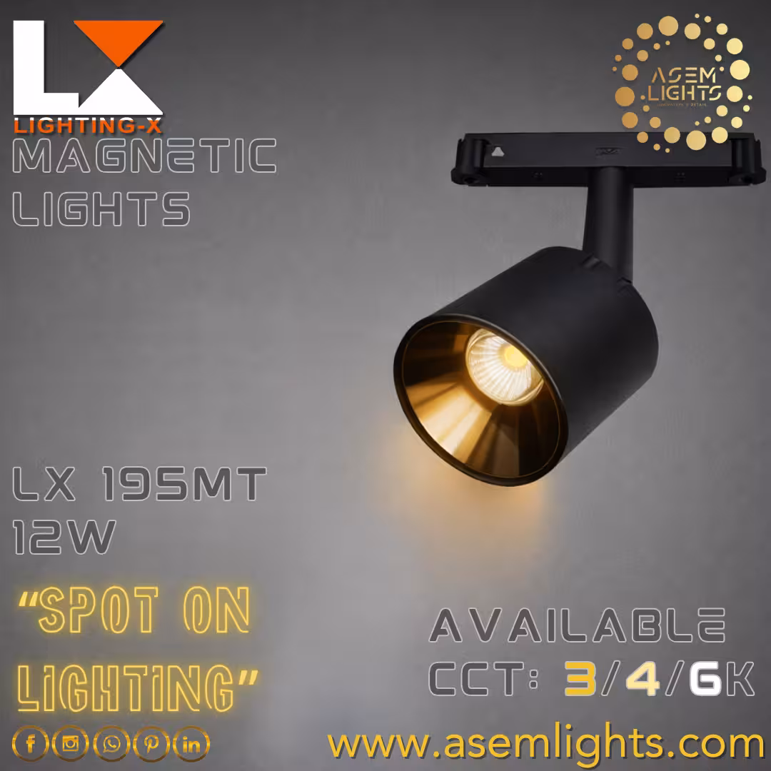 lx195mt 12w (2) magnetic light in nepal