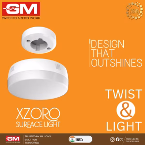 led surface light in nepal