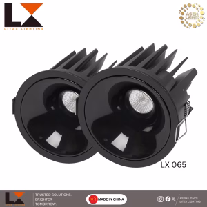 black cob downlight in nepal